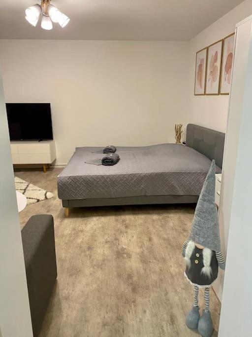Stilvolle Ferienwohnung Mit Stellplatz Wlan Free Netflix Naehe Bahnhof 茨维考 外观 照片